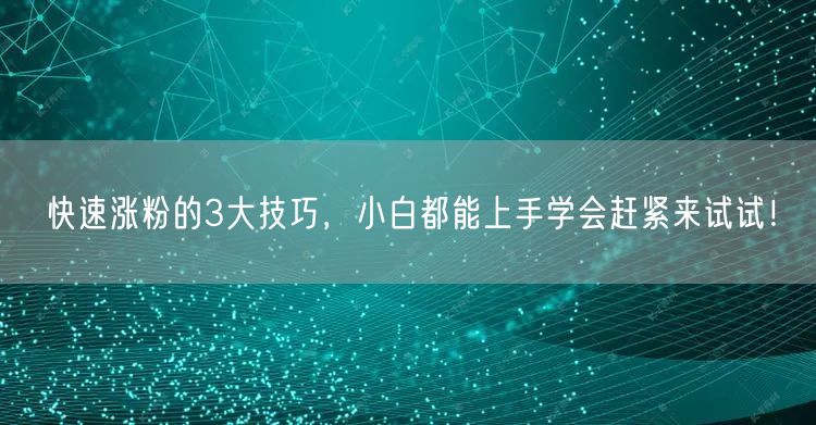 快速涨粉的3大技巧，小白都能上手学会赶紧来试试！