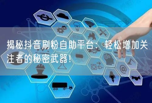 揭秘抖音刷粉自助平台：轻松增加关注者的秘密武器！