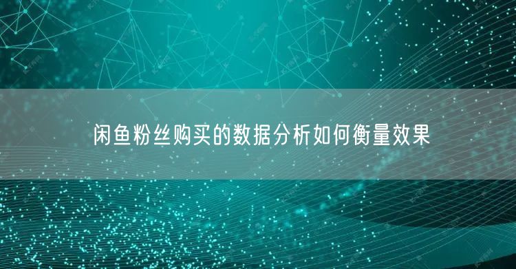 闲鱼粉丝购买的数据分析如何衡量效果