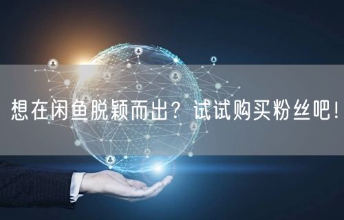 想在闲鱼脱颖而出？试试购买粉丝吧！