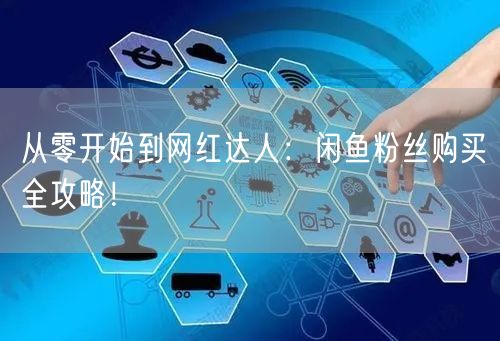 从零开始到网红达人:闲鱼粉丝购买全攻略!