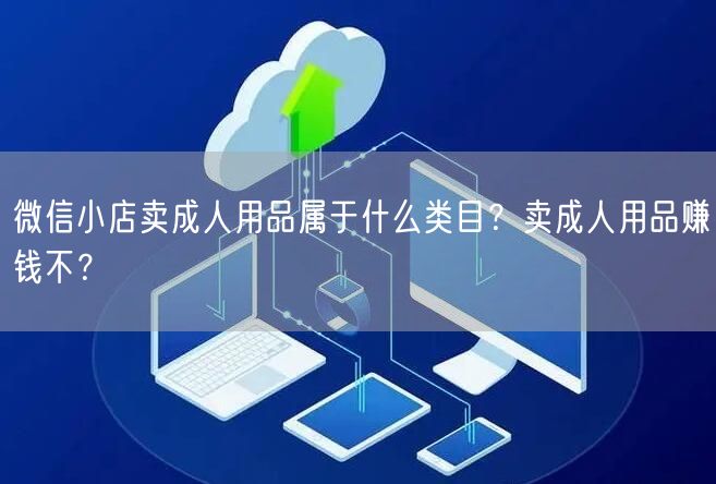 微信小店卖成人用品属于什么类目？卖成人用品赚钱不？