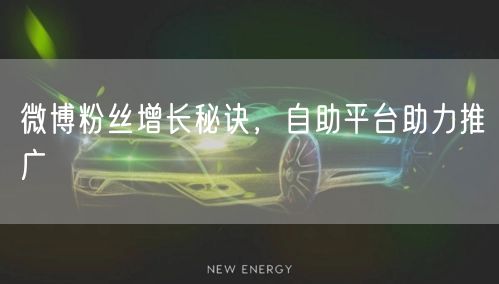 微博粉丝增长秘诀,自助平台助力推广