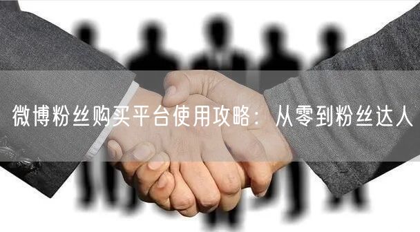 微博粉丝购买平台使用攻略：从零到粉丝达人