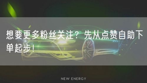 想要更多粉丝关注?先从点赞自助下单起步!