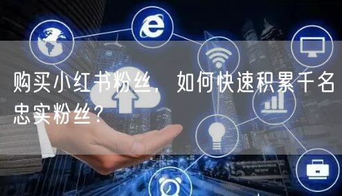 购买小红书粉丝,如何快速积累千名忠实粉丝?