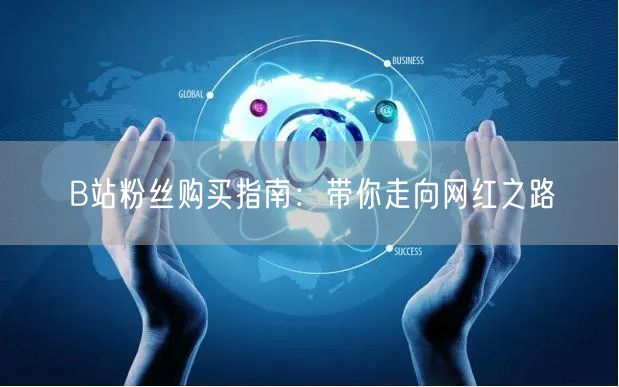 B站粉丝购买指南:带你走向网红之路
