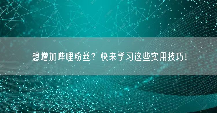 想增加哔哩粉丝?快来学习这些实用技巧!