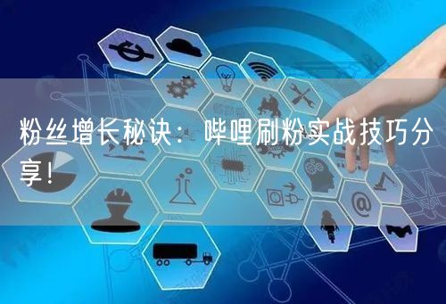 粉丝增长秘诀:哔哩刷粉实战技巧分享!